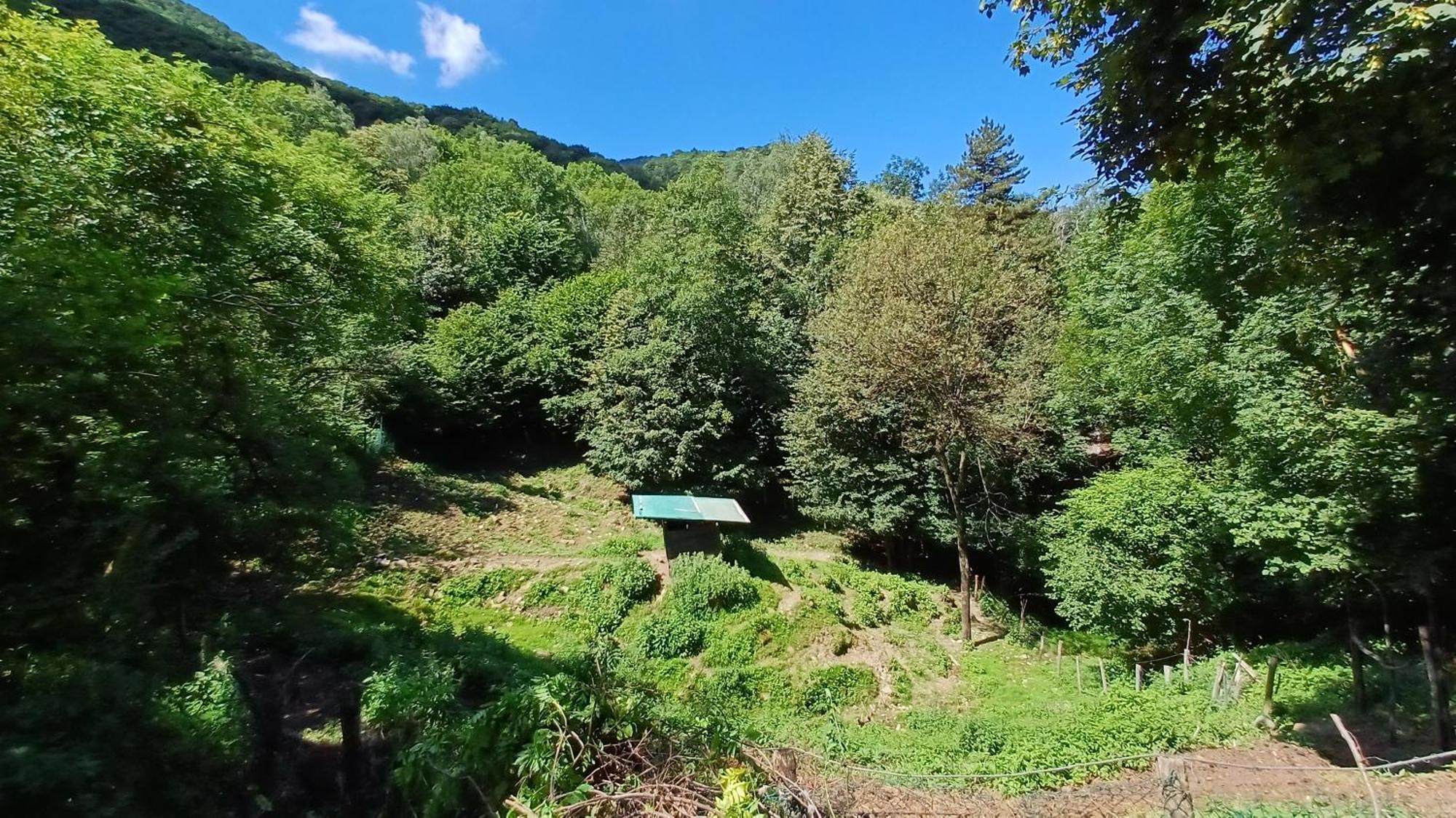 La Stanza Del Bosco Apartamento Arcumeggia Exterior foto