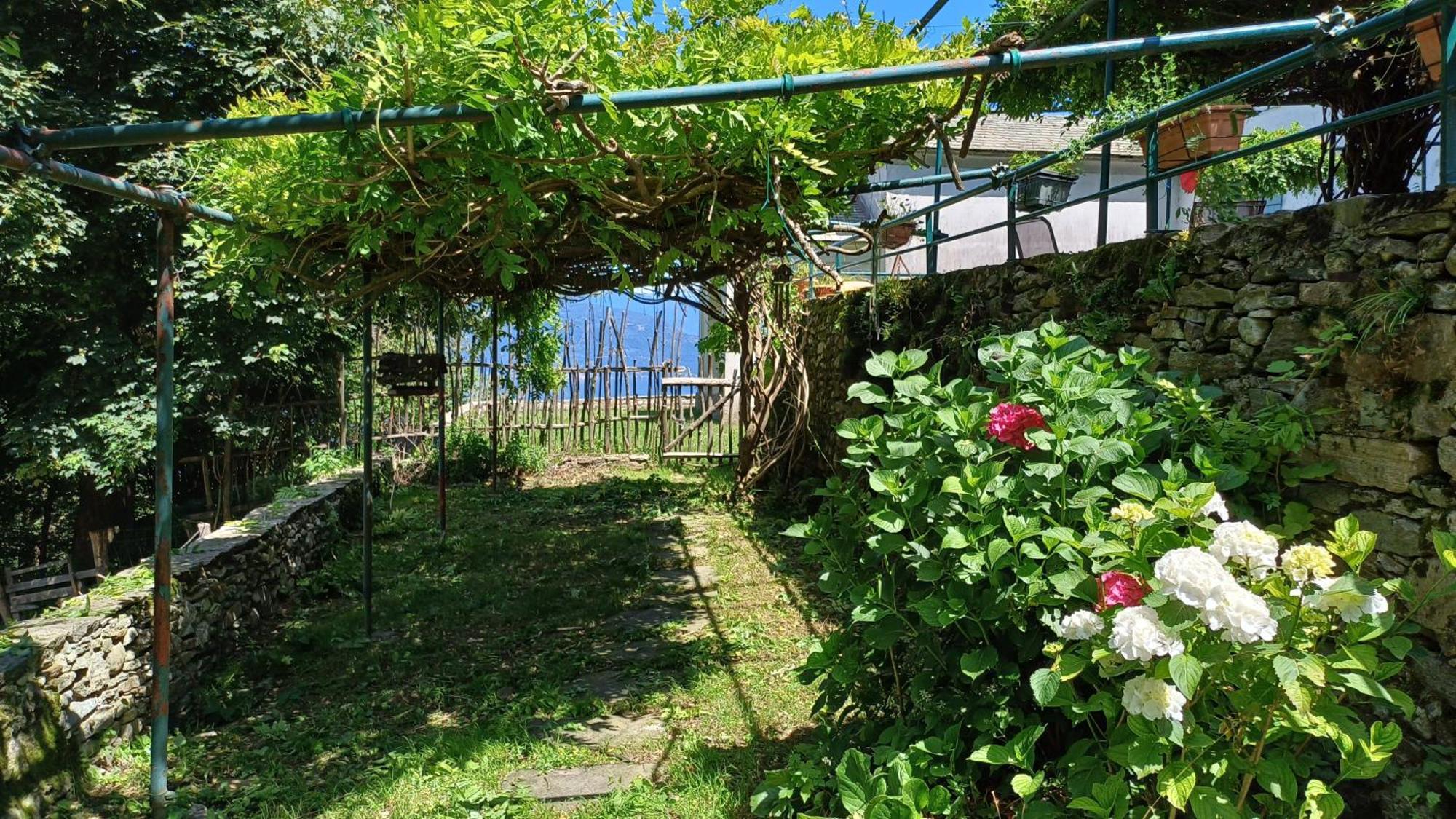 La Stanza Del Bosco Apartamento Arcumeggia Exterior foto