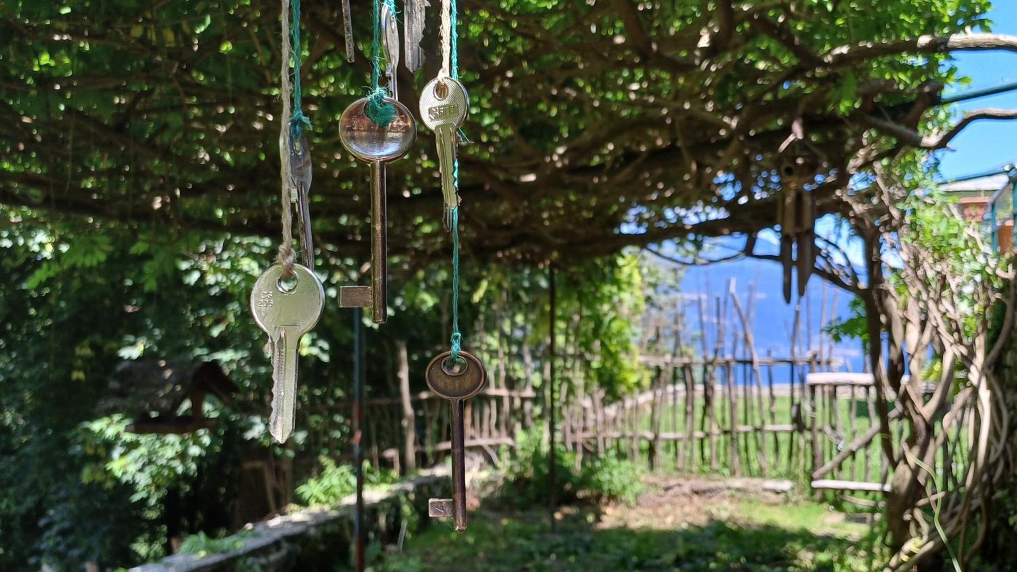 La Stanza Del Bosco Apartamento Arcumeggia Exterior foto